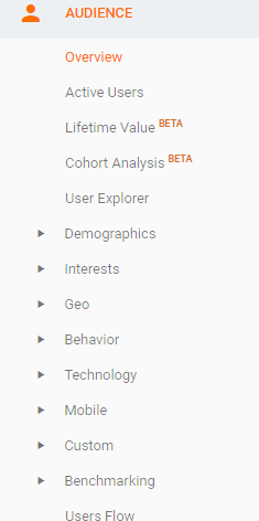 Google Analytics Audience Tab